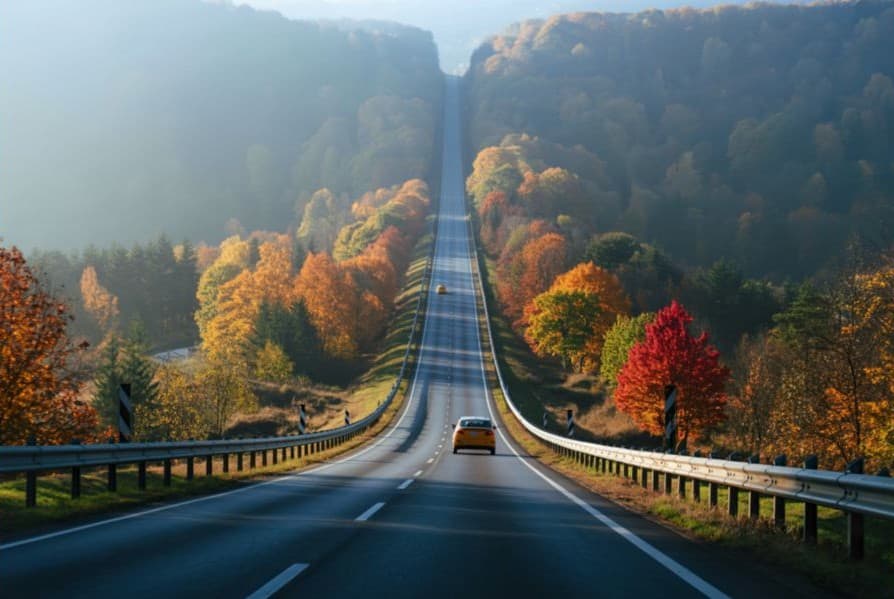 Car driving through autumn foliage